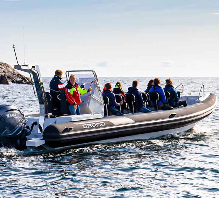 Passengers cruising out on the Grand D950 with dark grey tubes, powered by a Yamaha engine