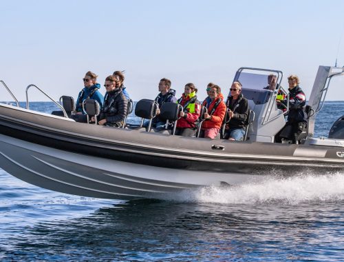 A Grand D950 - one of Grand's commercial boats. Serving as a commercial fishing boat or inflatable charter boat, with 12 passengers on board.